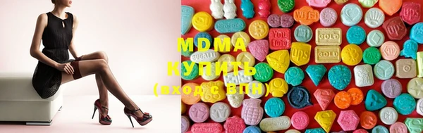 шишки Дмитриев