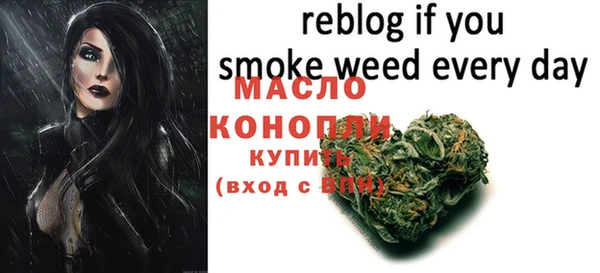 шишки Дмитриев