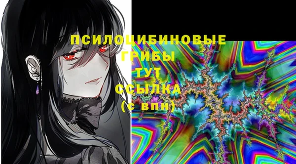 шишки Дмитриев