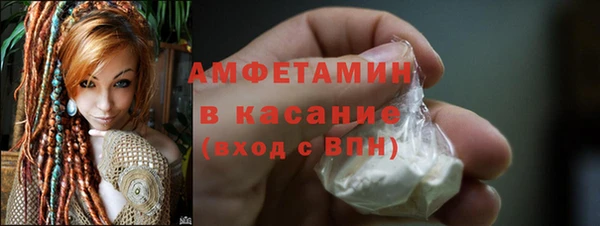 шишки Дмитриев