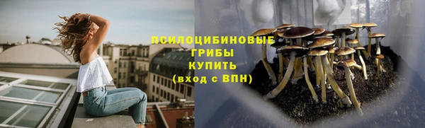 гидра Дмитровск