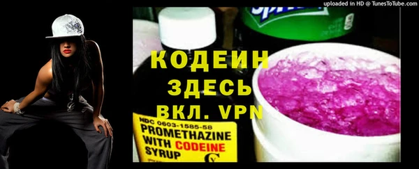 шишки Дмитриев