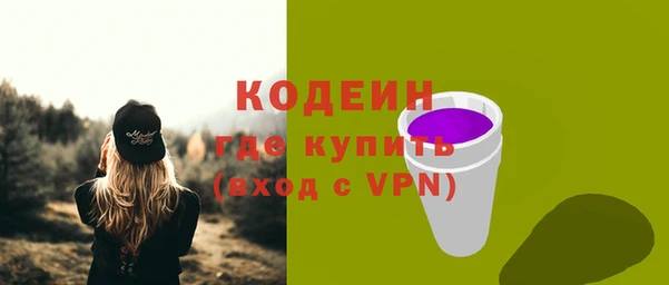 шишки Дмитриев