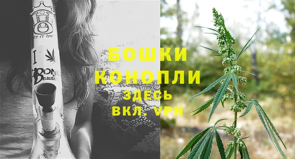 ПСИЛОЦИБИНОВЫЕ ГРИБЫ Дмитров