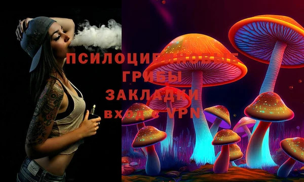 гидра Дмитровск