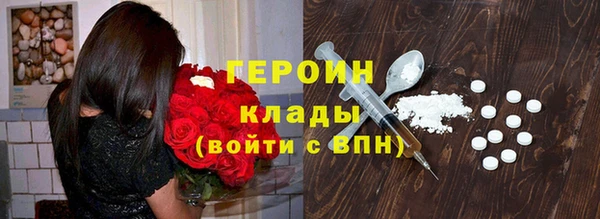 шишки Дмитриев