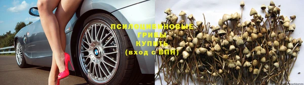 гидра Дмитровск