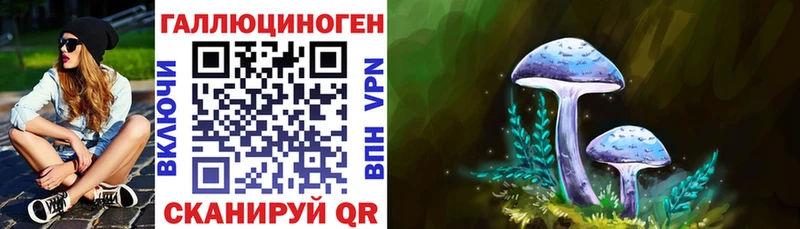 наркота  Добрянка  Галлюциногенные грибы Magic Shrooms 